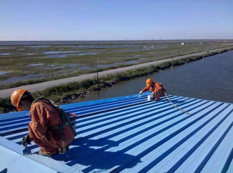 龙文钢结构屋面漏水原因