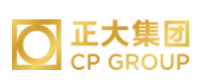 龙文正大集团